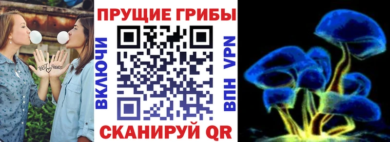 KRAKEN как войти  цена   Свободный  Псилоцибиновые грибы Magic Shrooms 